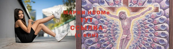 гидра Михайловка