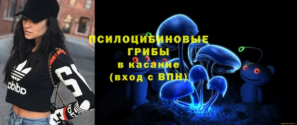 гидра Михайловка