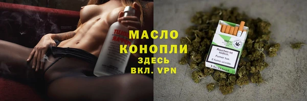 гидра Михайловка