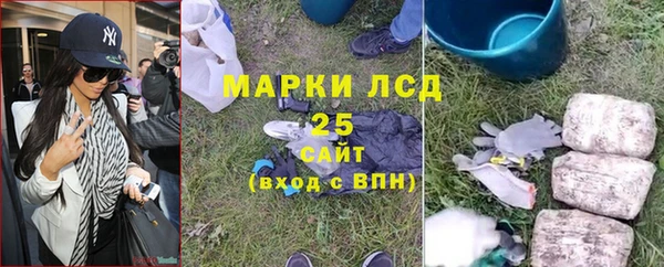 гидра Михайловка