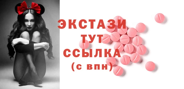 гидра Михайловка
