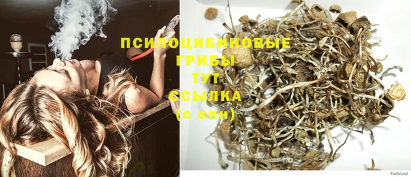 ГАЛЛЮЦИНОГЕННЫЕ ГРИБЫ Михайлов