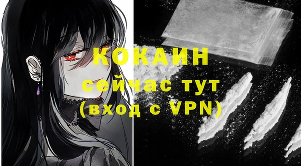 ГАЛЛЮЦИНОГЕННЫЕ ГРИБЫ Михайлов