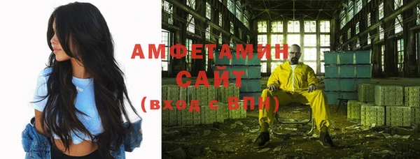 ГАЛЛЮЦИНОГЕННЫЕ ГРИБЫ Михайлов
