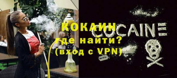 ГАЛЛЮЦИНОГЕННЫЕ ГРИБЫ Михайлов