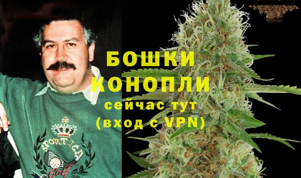 ГАЛЛЮЦИНОГЕННЫЕ ГРИБЫ Михайлов