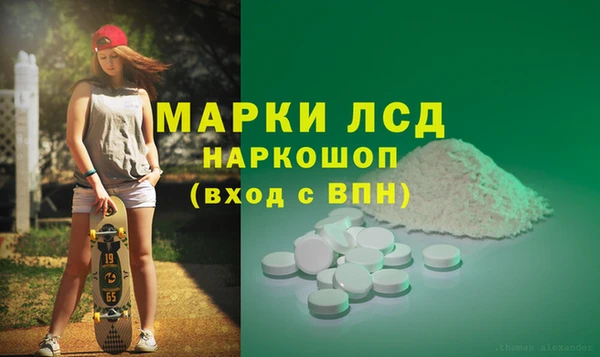 ГАЛЛЮЦИНОГЕННЫЕ ГРИБЫ Михайлов