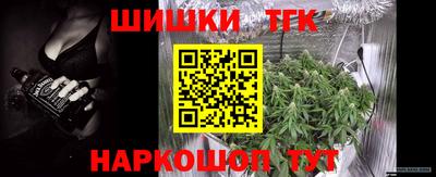 МДПВ Гай