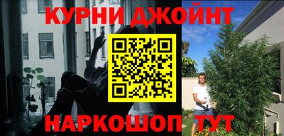МДПВ Гай